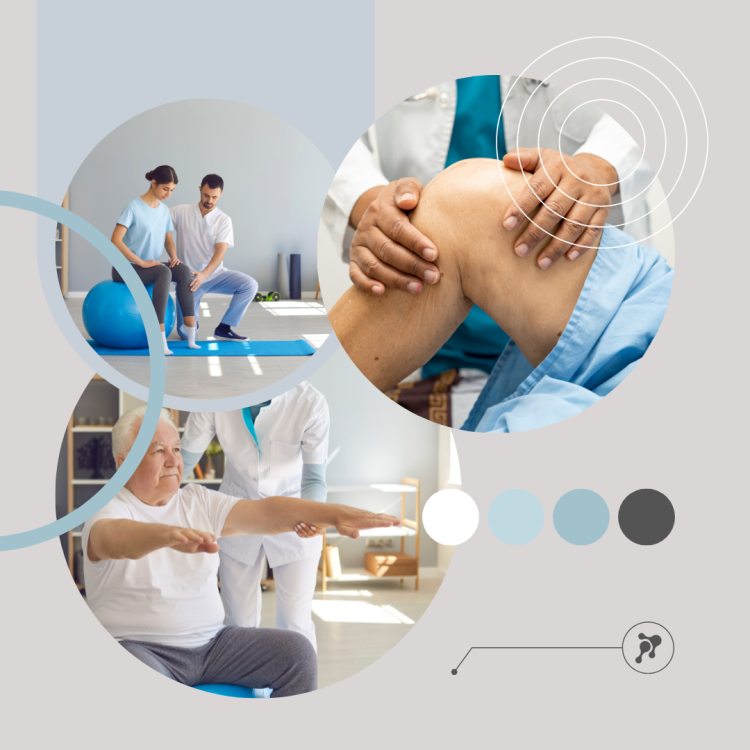 Фитокрем-бальзам (Крем для суставов, фитокрем) для суставов, локтей 250 мл. DctrGo  в Сургуте